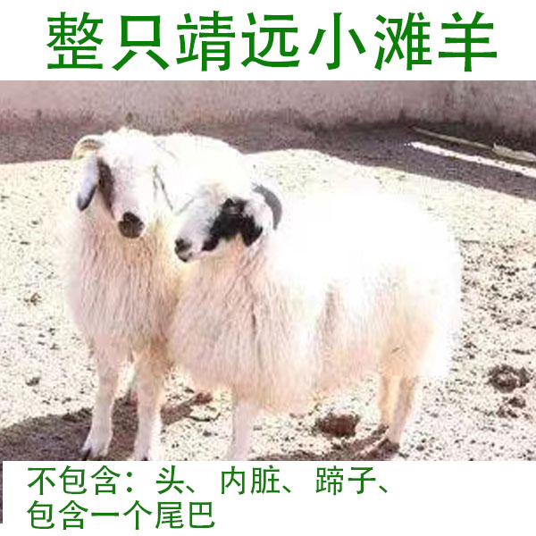 靖远整只小滩羊  重量18-20斤 购买前请联系客服