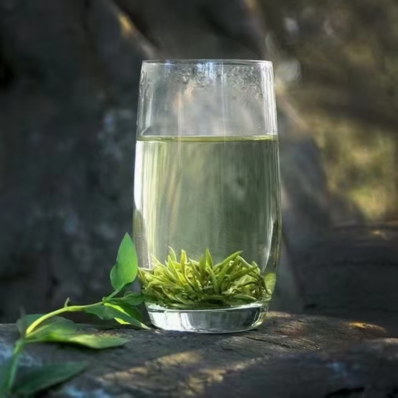 2025年狗牯脑茶原产地明前高山头春头采嫩芽茶 