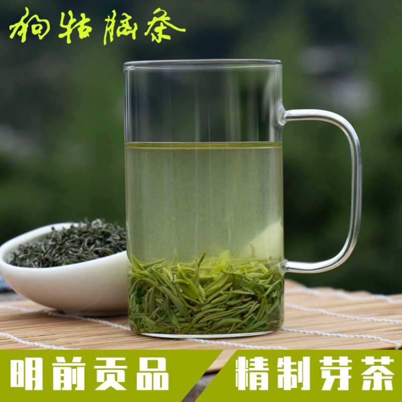 2025年江西遂川高山清明前85%芽头狗牯脑绿茶鲜爽甘甜