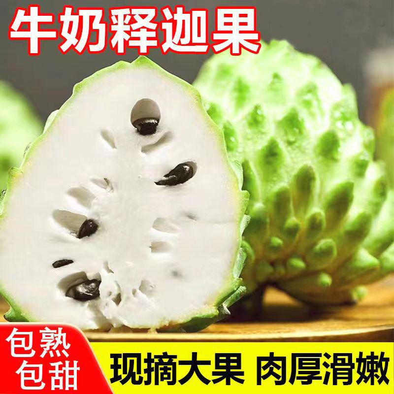 【当季水果】牛奶凤梨释迦果5斤 单果7两起（整箱6-7个）顺丰包邮