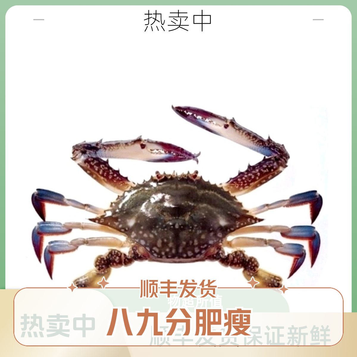 东港公飞蟹 八九分肥瘦（保鲜不保活 网挂螃蟹有掉腿）顺丰发货