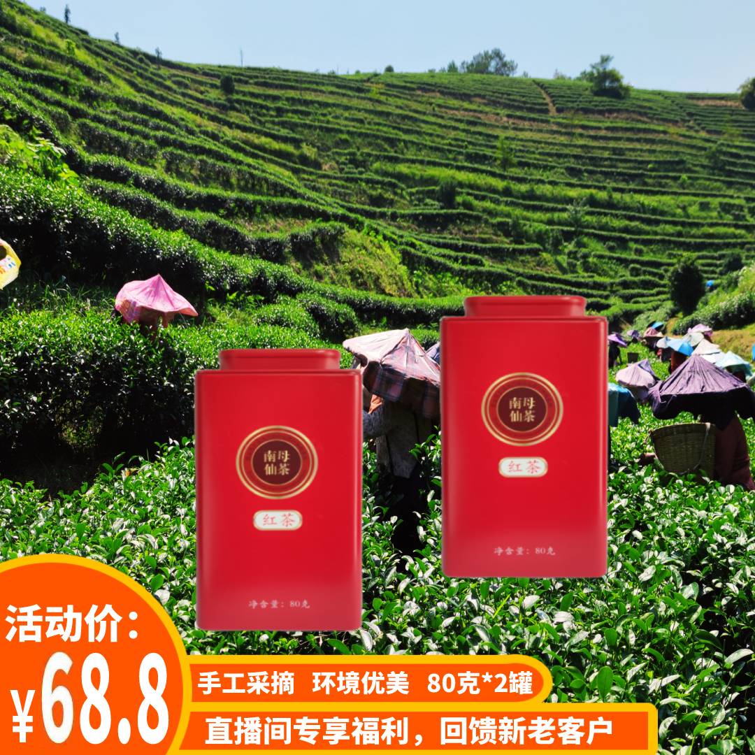 中国茶业百强县紫金南母仙茶红茶80g*2罐农产品醇香甘滑茶汤清澈