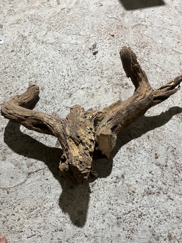 花梨定制手工摆料原料对眼天眼鬼脸老料老物件