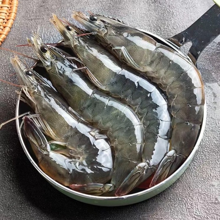新鲜海明虾食用 速冻白虾锁鲜 紧实3.5斤/盒冷冻发货