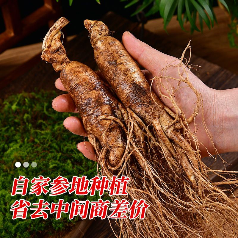 人参长白山新鲜带土鲜人参微瑕疵参泡酒煲汤泡水喝