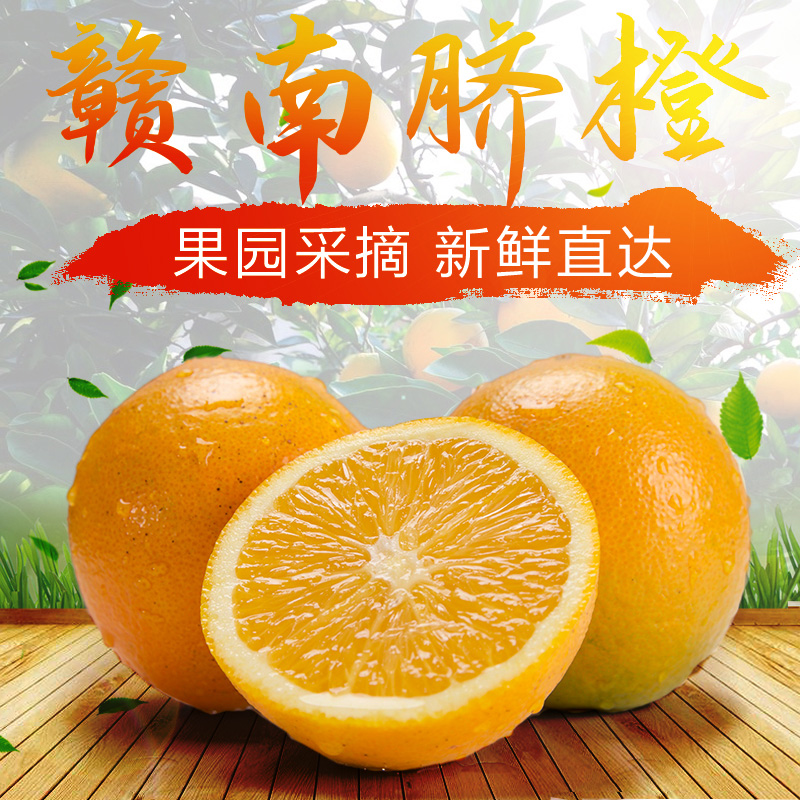 正宗江西赣南脐橙果园直发果王现摘现发二十斤新鲜橙子假一赔十