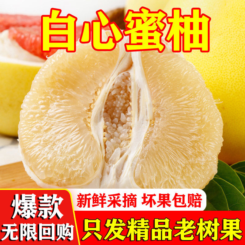 现摘广东梅州白心蜜柚白肉柚子酸甜多汁皮薄新鲜孕妇水果1-4个