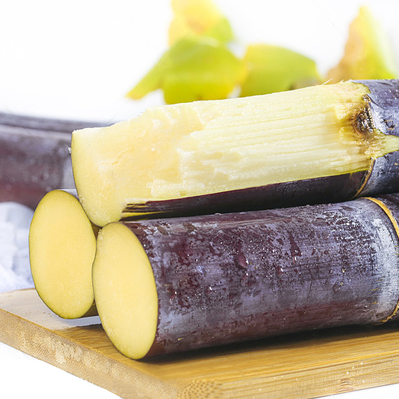 广西黑皮甘蔗5斤新鲜现砍应季水果清甜多汁送削皮刀