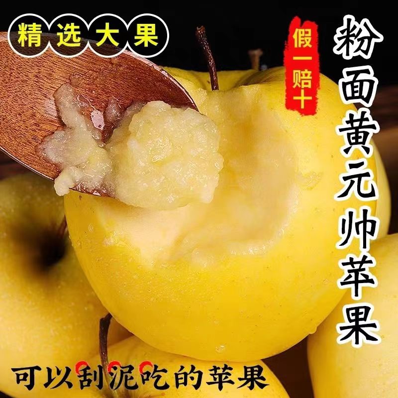 【顺丰包邮】甘肃天水奶油富士套袋黄元帅苹果新鲜水果农家种植10斤