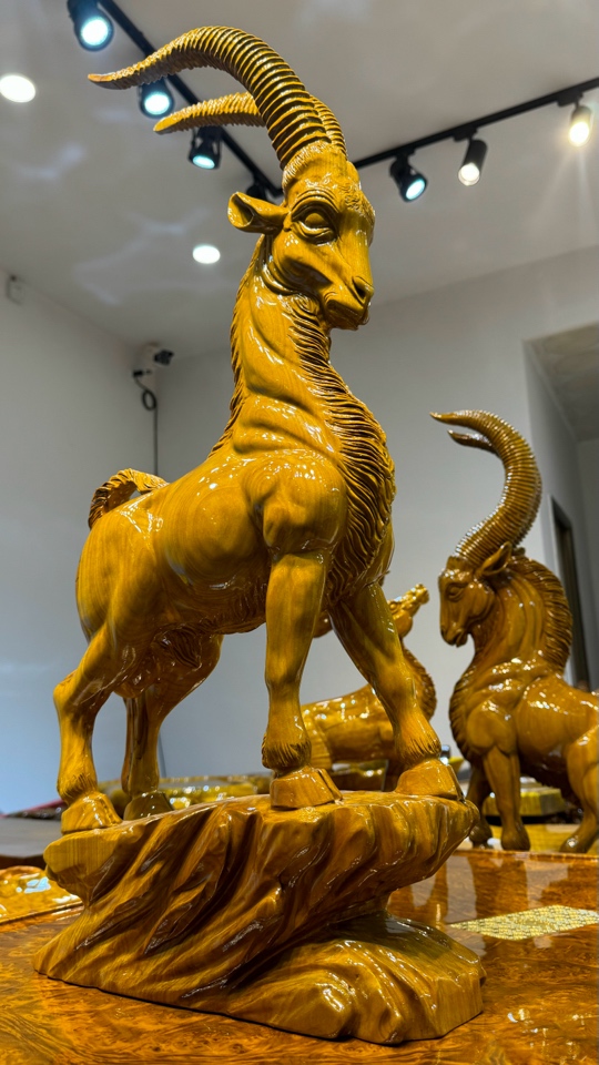 黄金樟金丝楠直播间链接（以直播间为准 请截图保存）