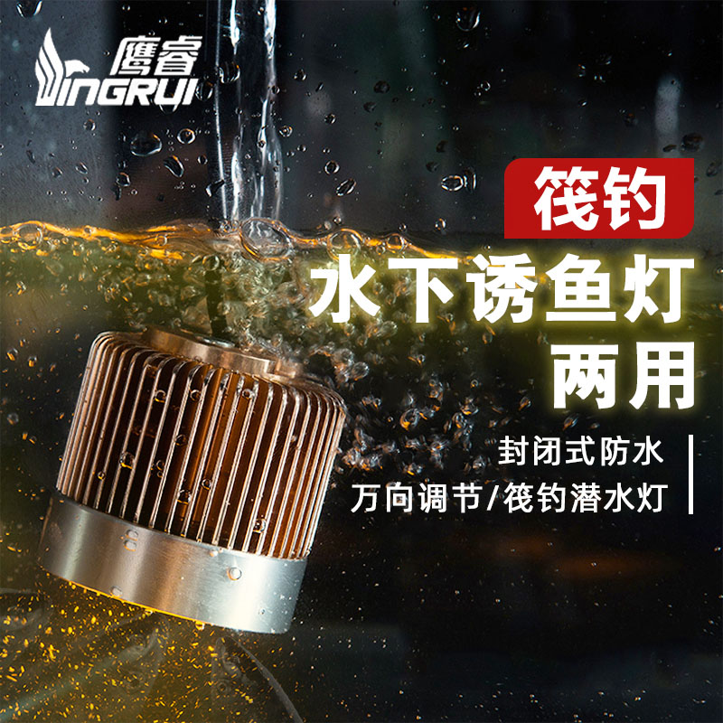鹰睿竿稍灯诱鱼灯筏钓灯水上两用诱鱼灯磁铁钓鱼灯垂钓光源调光