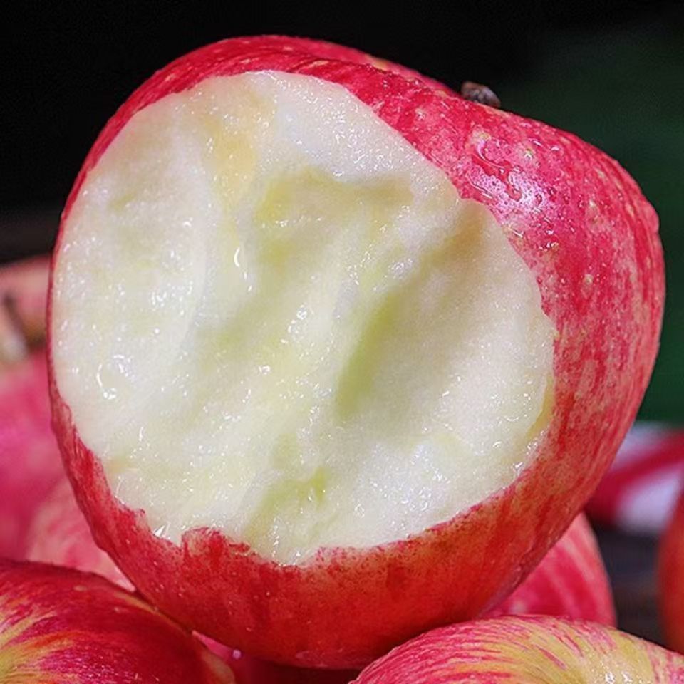陕西白水红富士苹果水果新鲜脆甜多汁5/10斤当季头茬直发冰糖心