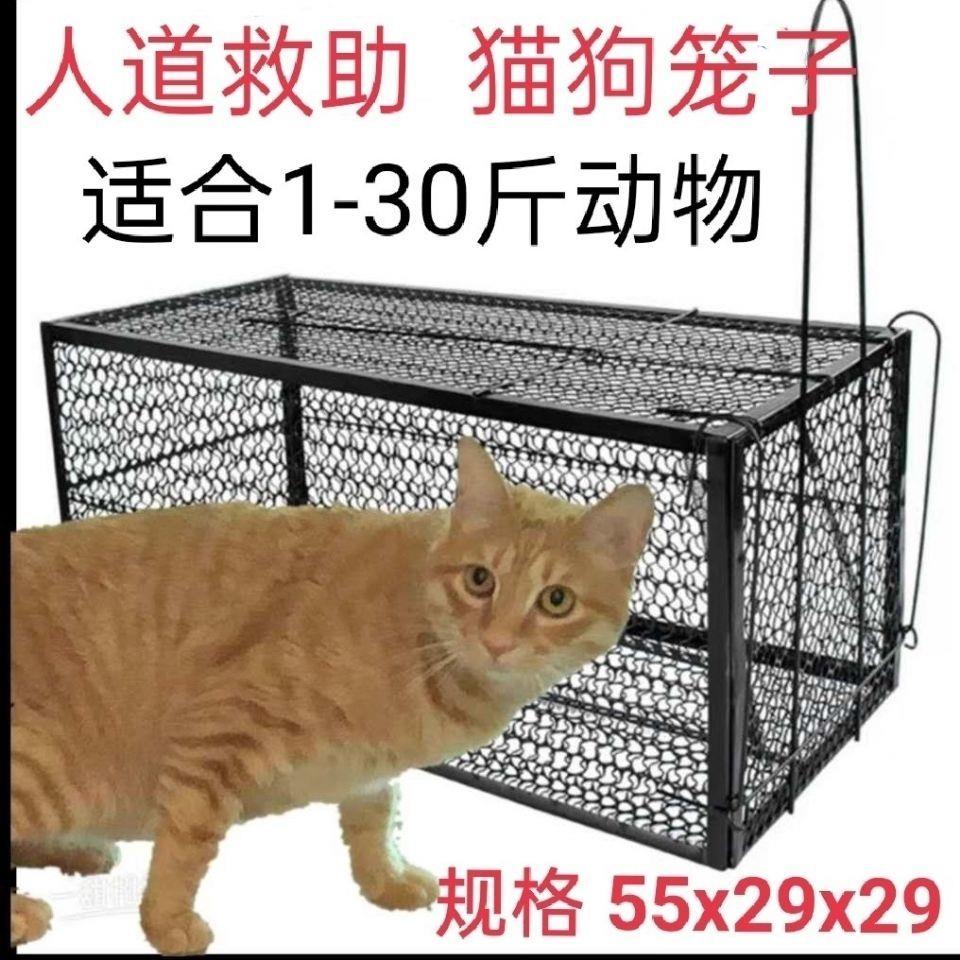 全自动捕猫笼 寻猫笼子流浪猫捉捕笼 逮猫神器驱赶抓猫笼 救助笼