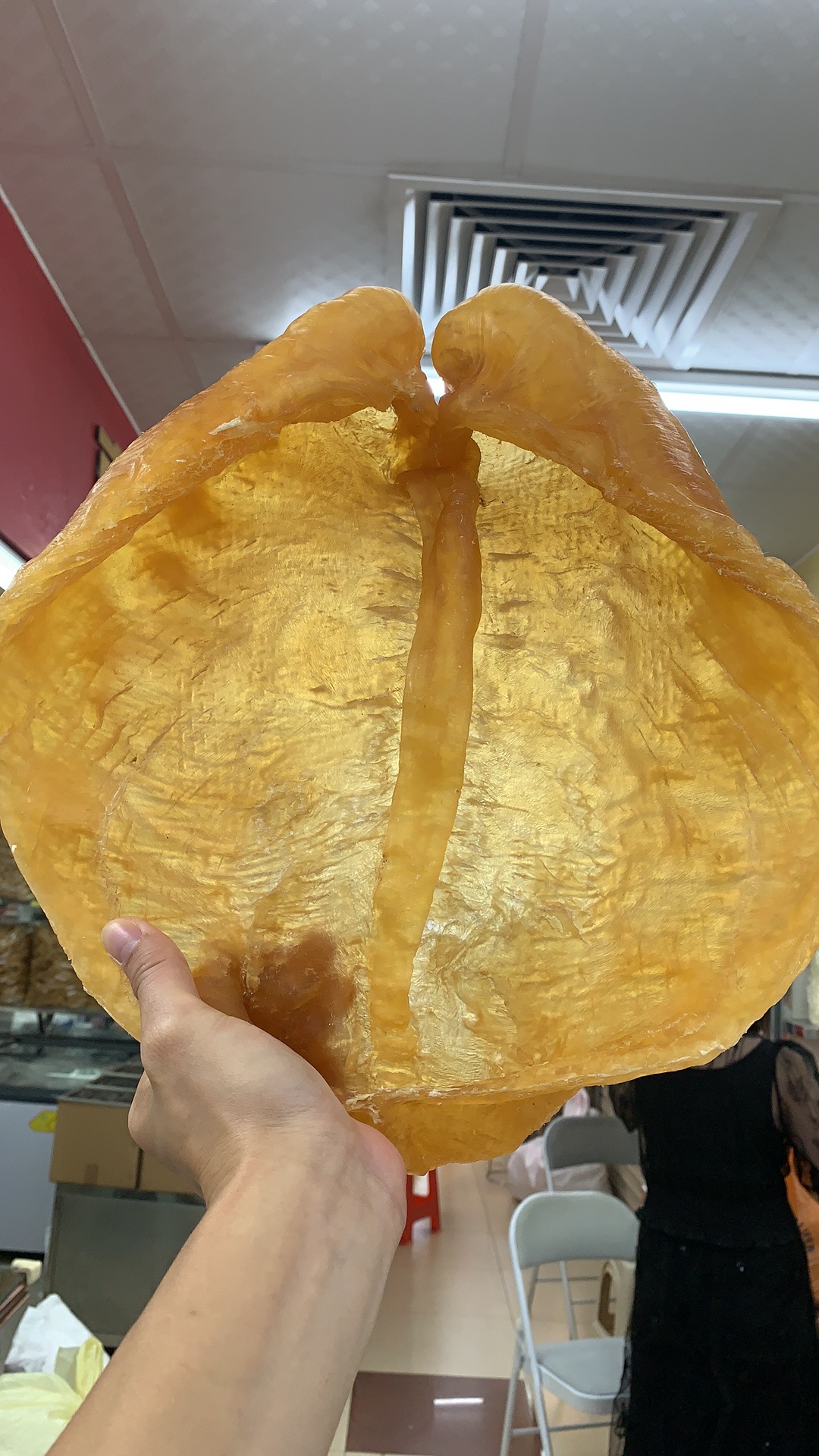 鱼胶 花胶 现场称重（改价链接）