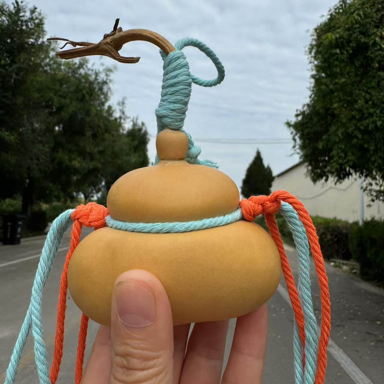 直播间选品葫芦（仅供直播间专用链接使用) 新疆西藏不包邮