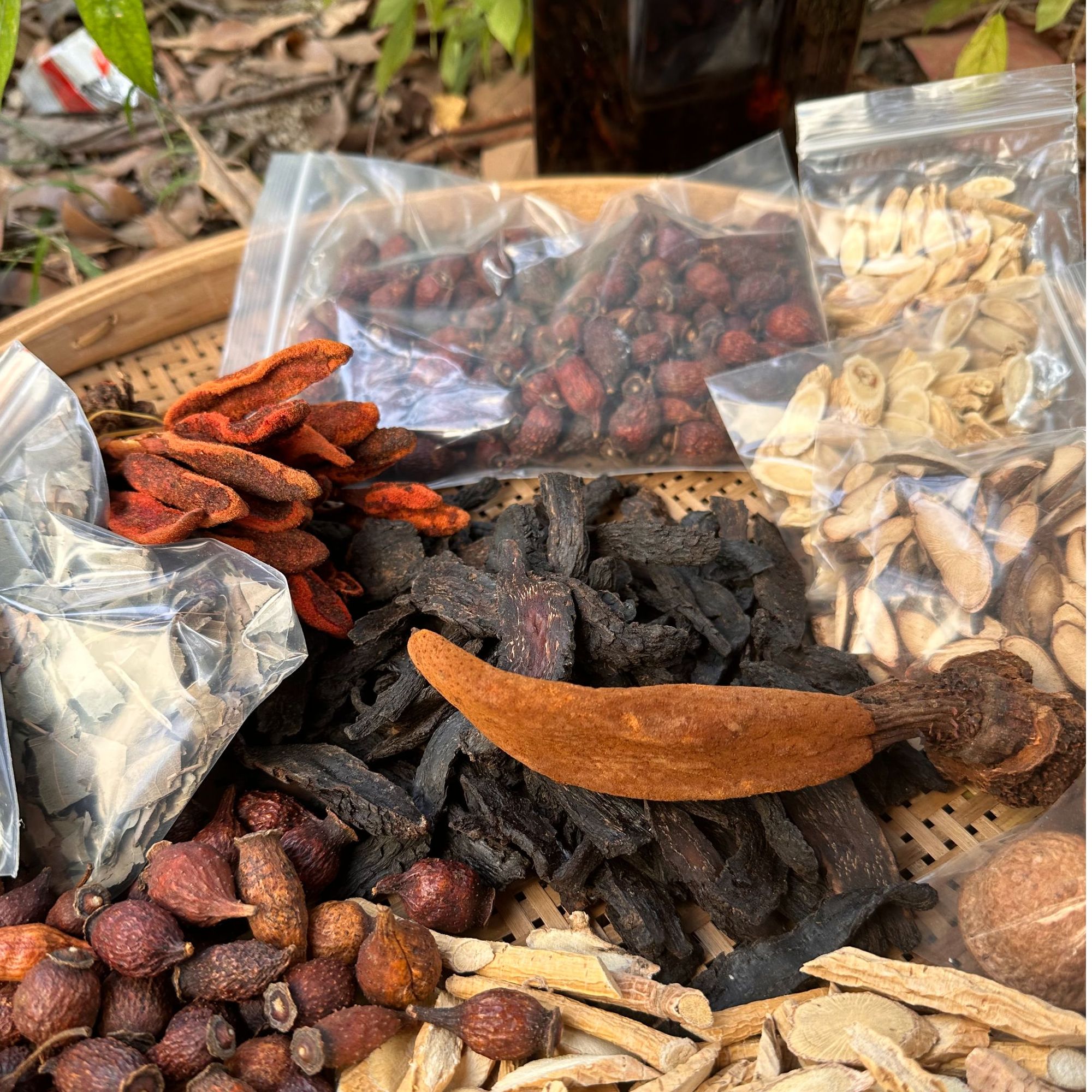 野山山货根茎十大组合材料