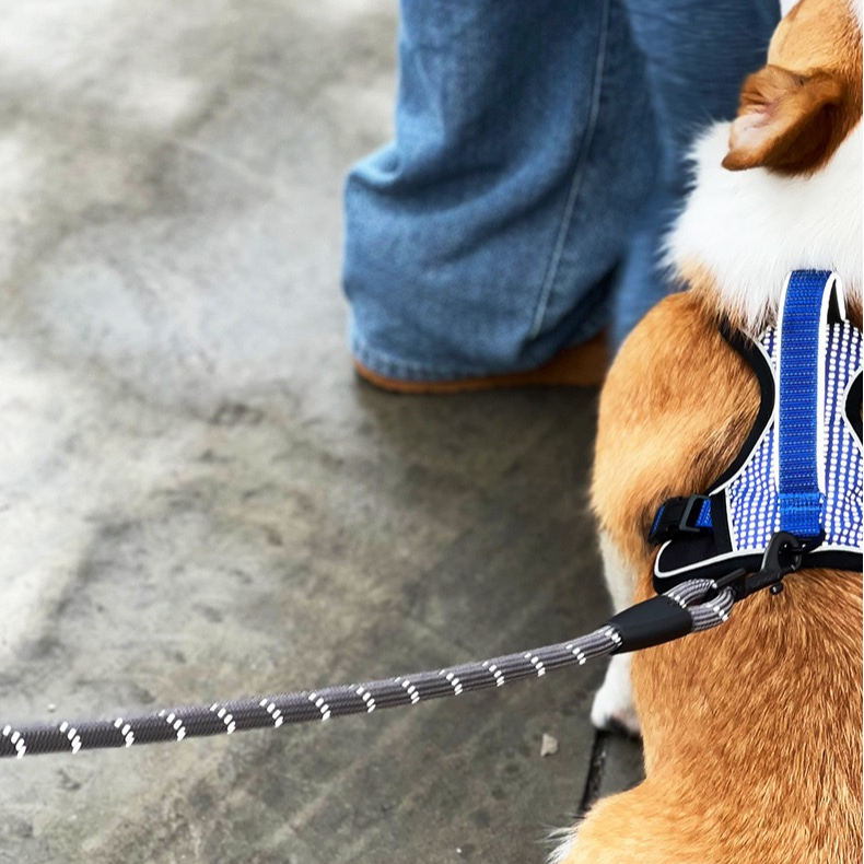 宠物牵引绳中大型犬防爆冲圆绳金属反光遛狗绳