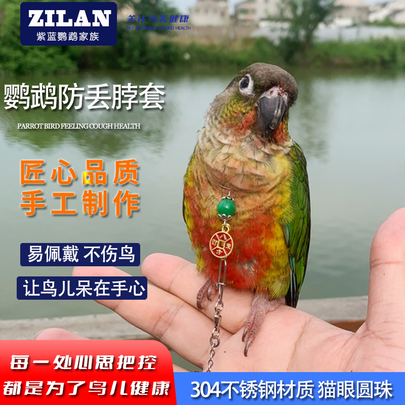 鹦鹉脖套珠子颜色随机安全脖套小太金太和尚牡丹虎皮玄凤外出放飞