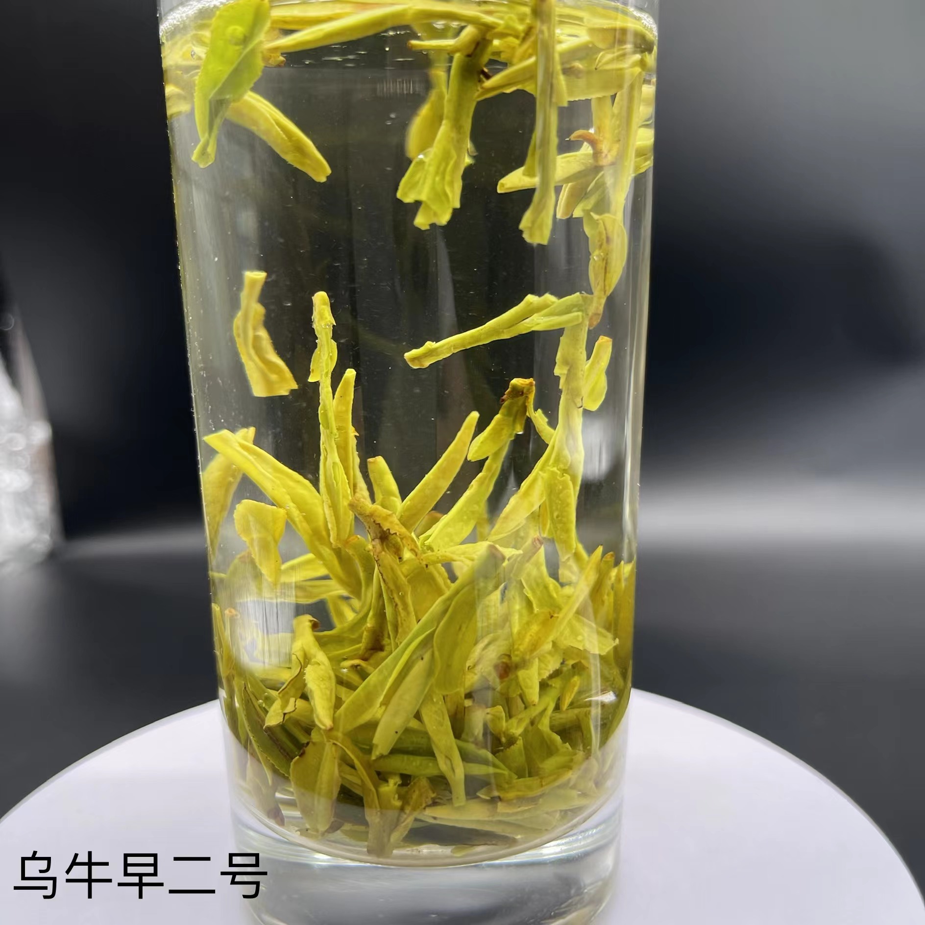 浙江龙井乌牛早2号明前