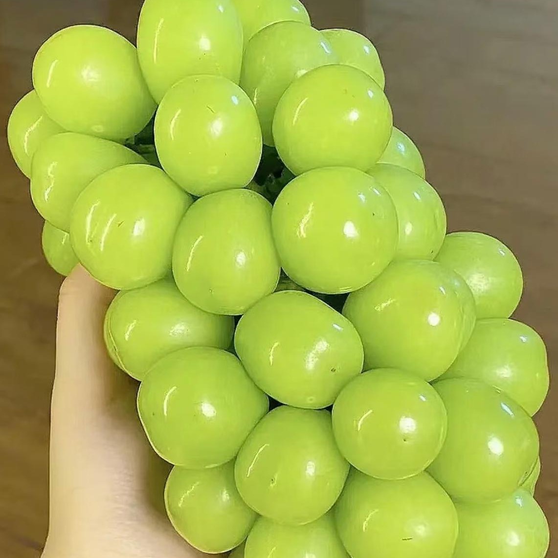 【佰慕甄选】阳光玫瑰