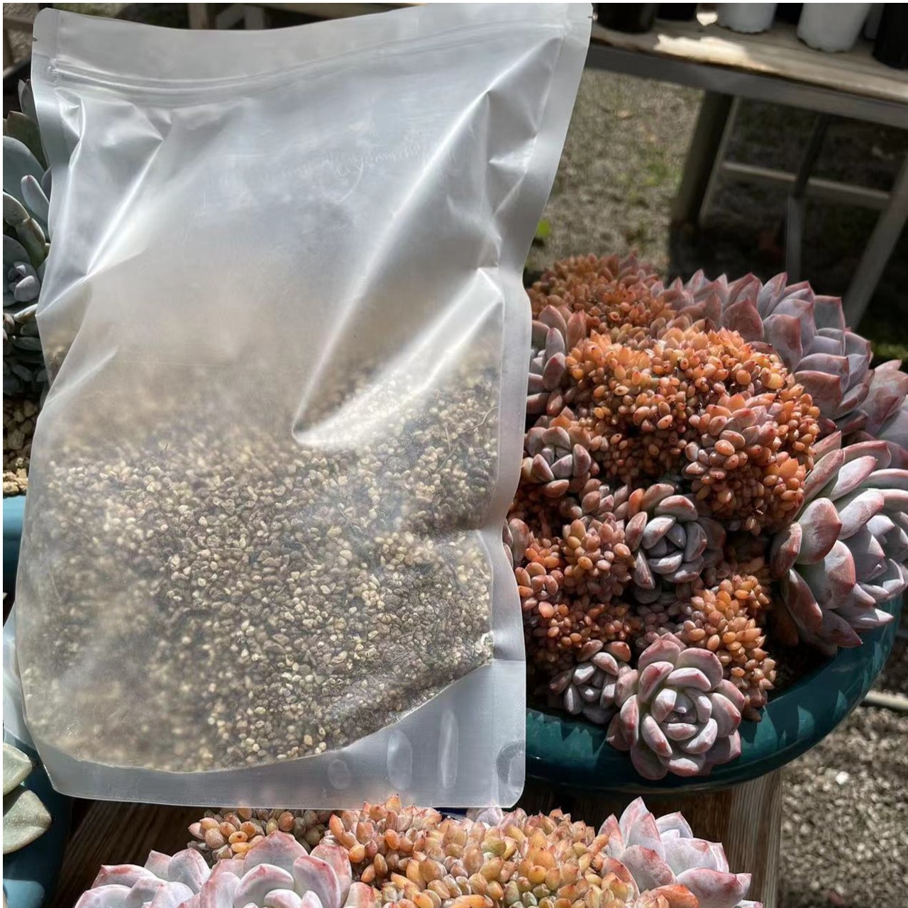 蜜儿精品多肉配方土  4升一份