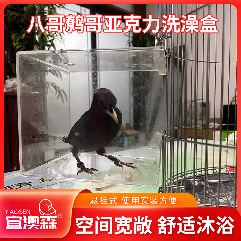 八哥专用亚克力透明洗澡盆鸟用洗澡盒大号鹦鹉浴盆神器鸟笼子