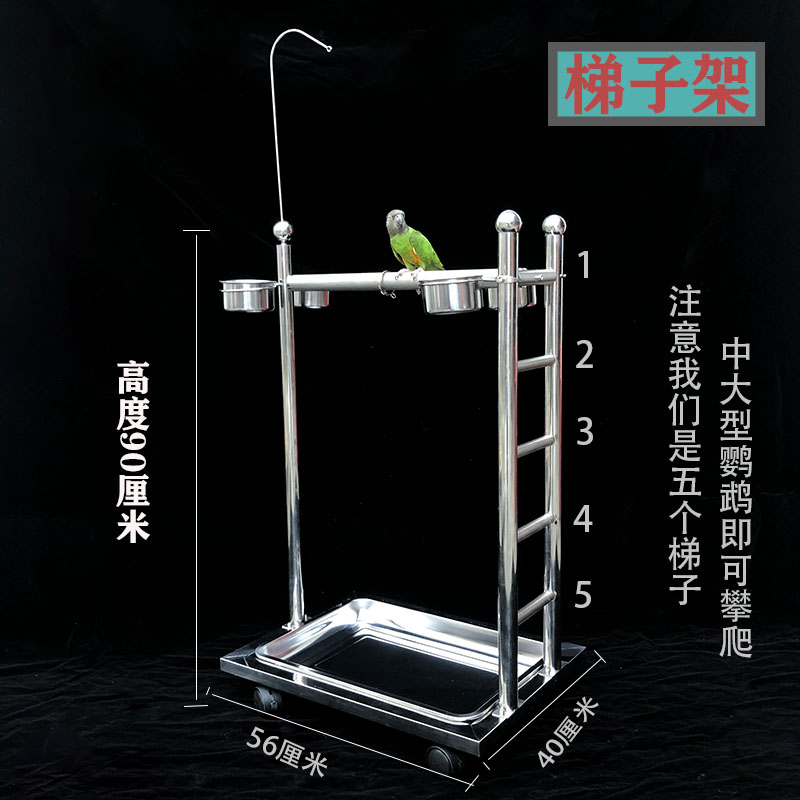 大型鹦鹉不锈钢可升降站架折衷观赏架梯子架栖息架中大型饲养架子