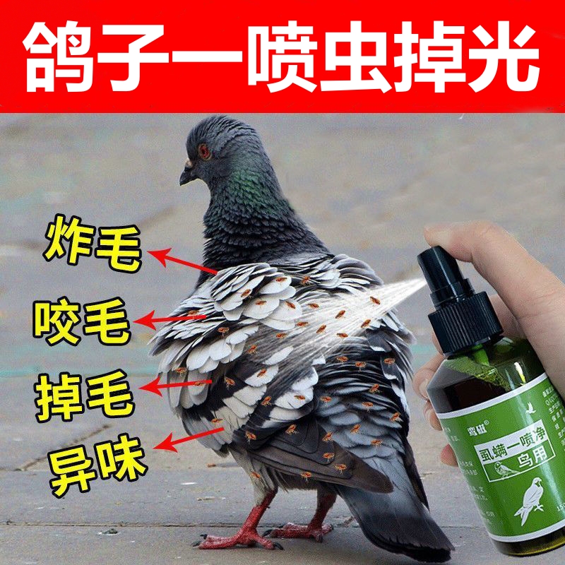 鸽子体外驱虫喷剂虱螨一喷净赛鸽信鸽除羽虱螨虫体外喷雾