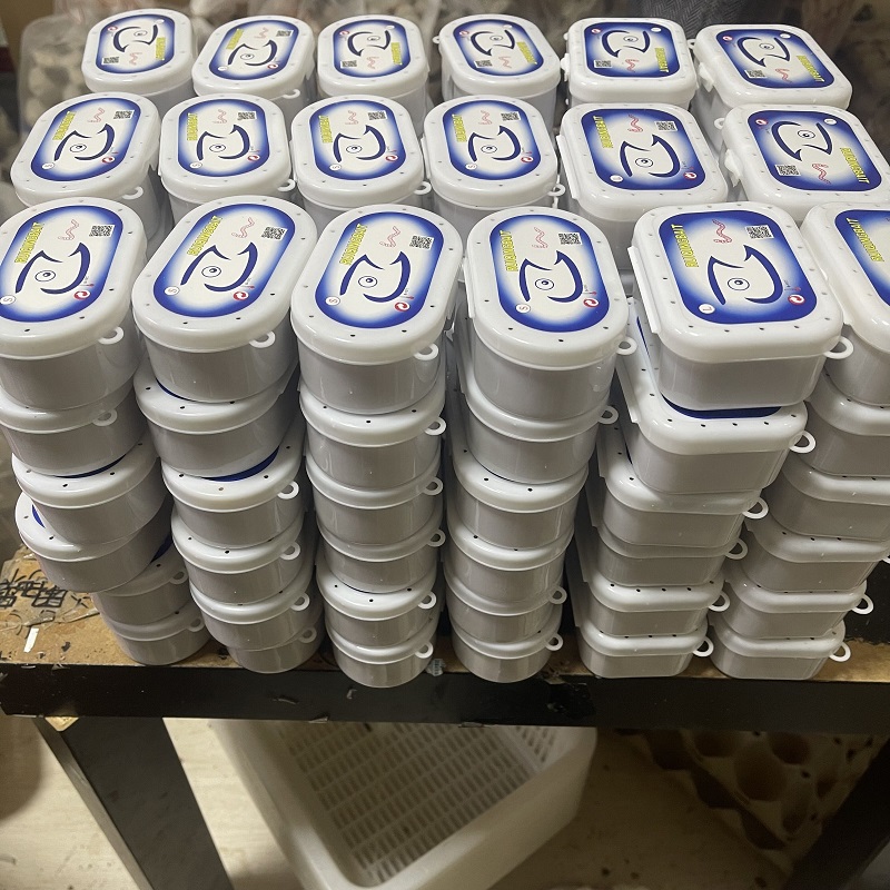 葡萄蜜玉米虫活体蜜虫大蜡螟钓鱼饵鸟粮虫蜥蜴守宫龟仓鼠零食