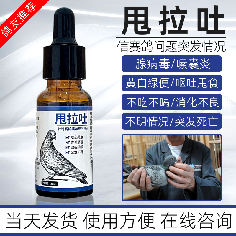 鸽用鸽子呕吐嗉囊炎黄白绿便消化赛鸽甩拉吐信鸽积食厌食预防