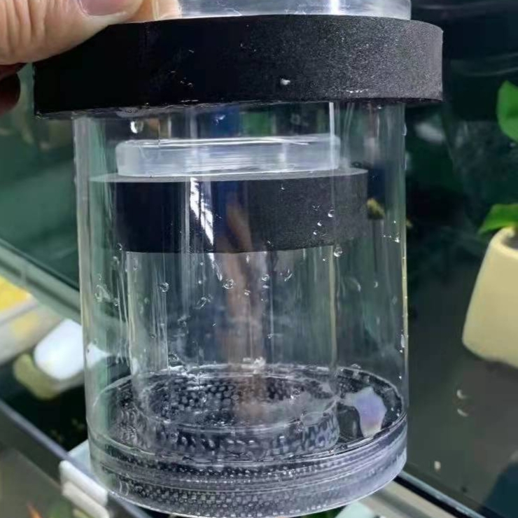隔离罐孔雀鱼胎生鱼繁殖罐