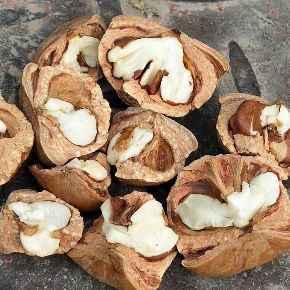 新果好野250g/500g