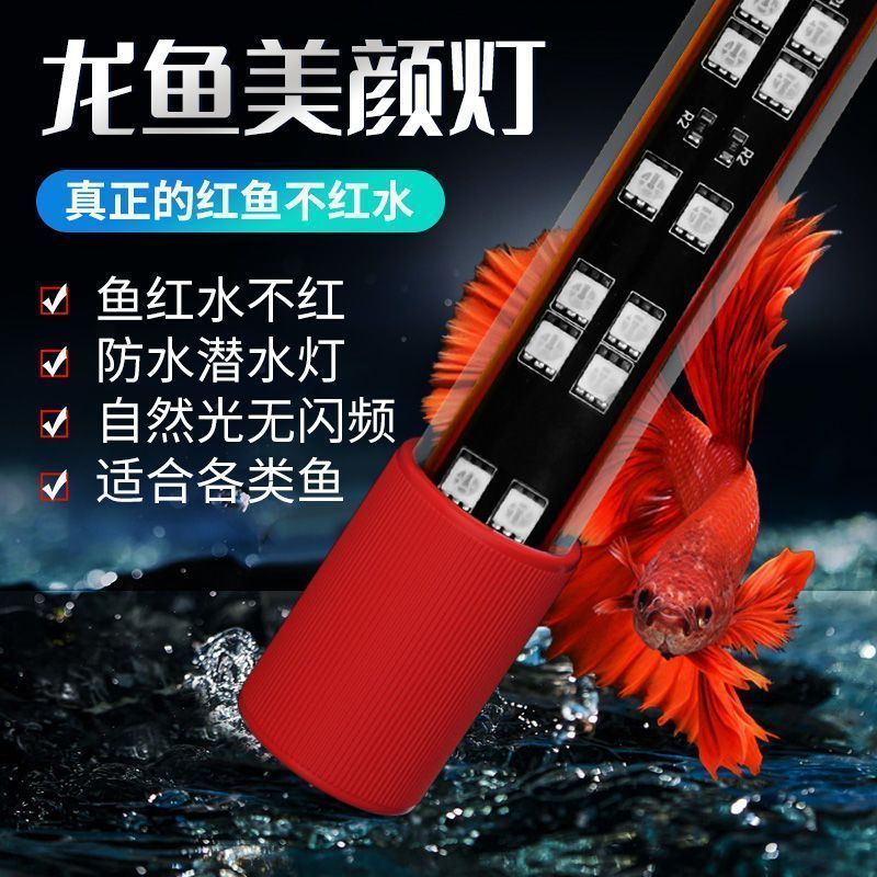 龙鱼灯水族箱防水鱼缸灯鹦鹉鱼红龙鱼专用增色灯马印神灯变色