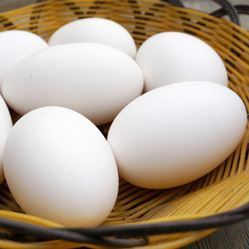 鹅蛋新鲜孕妇农家散养土鹅蛋特大鲜食材月子去胎毒杂粮喂养土鹅蛋