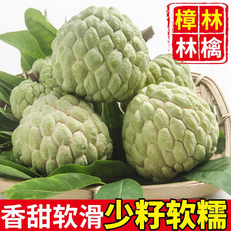 （浩大果园）樟林发货林檎番荔枝鲜嫩多汁采摘软香甜5斤装