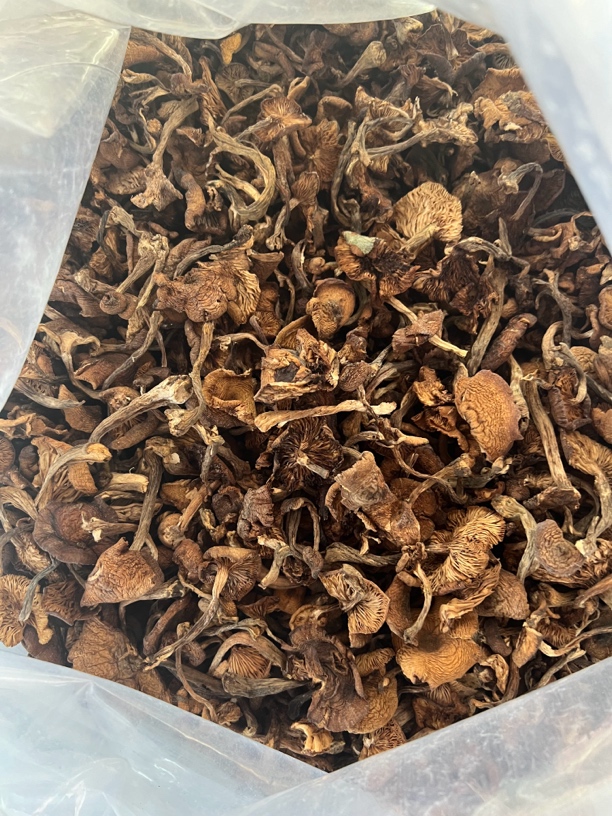 【国汇】东北林下头茬榛蘑，三两/半斤