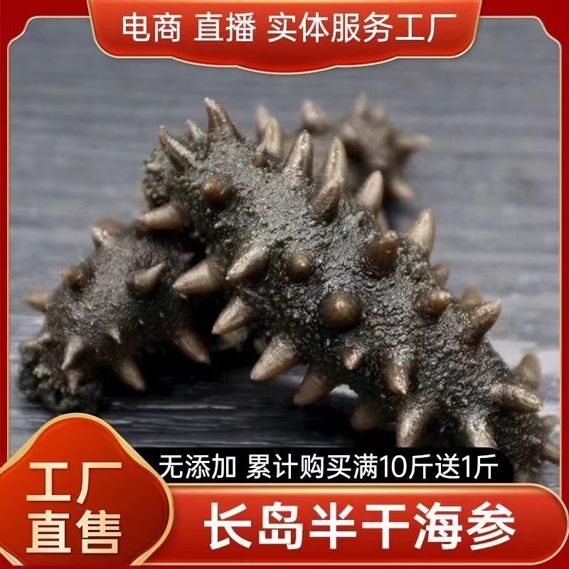 半干海参拉缸盐大连辽参淡干海参滋补干净紧实发货