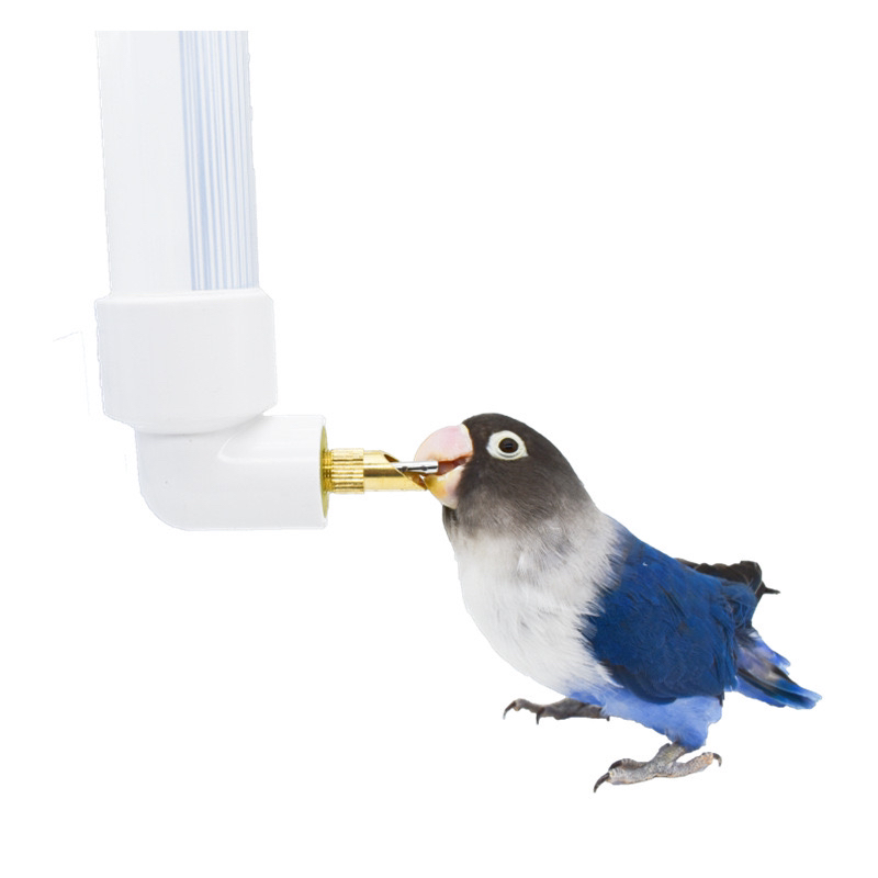 鹦鹉撞针水壶饮水器手工塑料