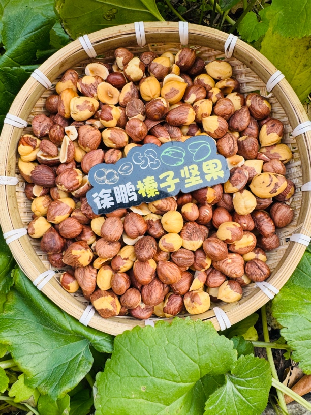 东北铁锅笨炒大果榛子仁，果仁