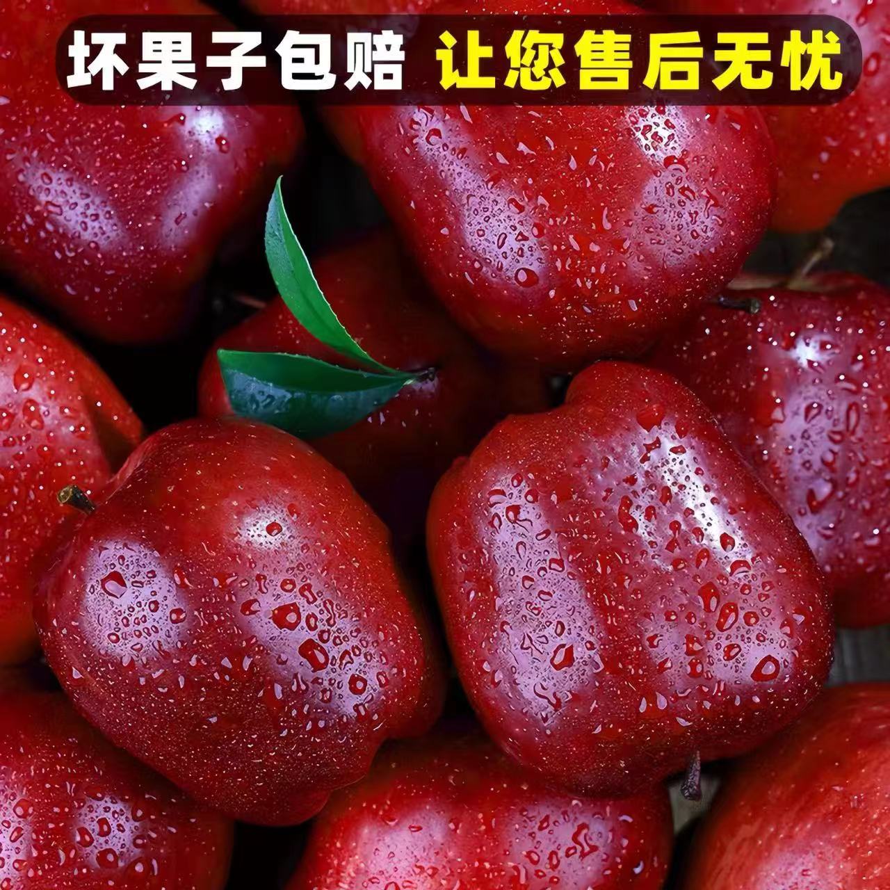 【2024新果】甘肃天水花牛苹果5斤带箱新鲜水果香甜多汁坏果包赔
