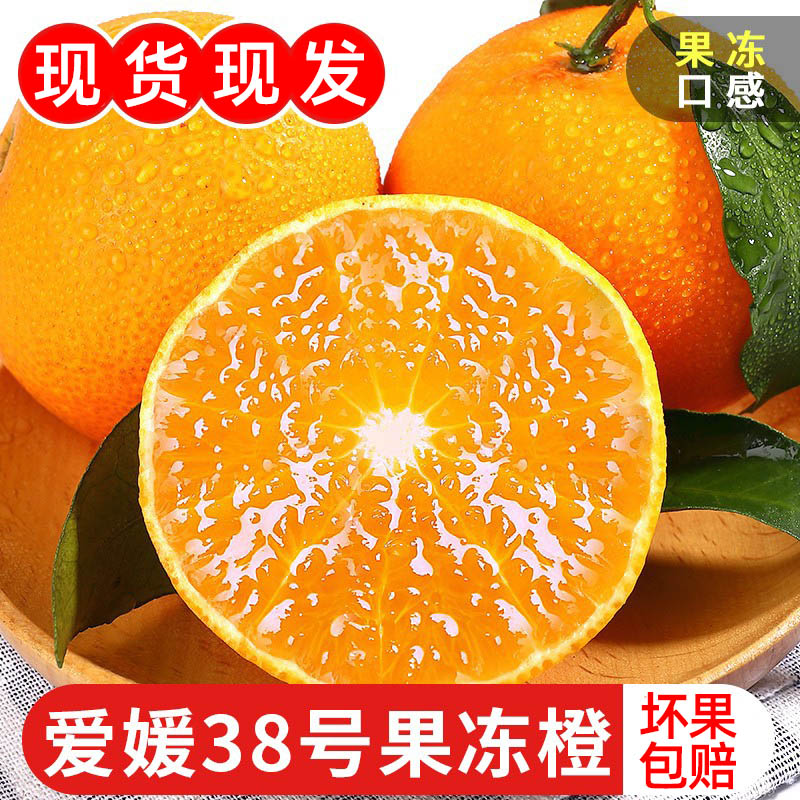 【东方甄选】正宗四川眉山爱媛38号果冻橙新鲜孕妇水果新采摘现货售