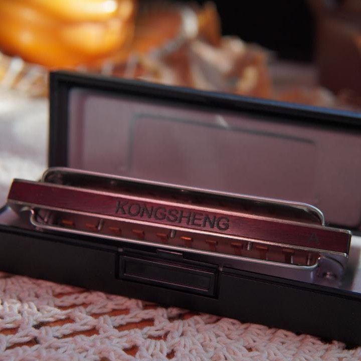 春雨教口琴推荐 檀木琴格10孔口琴PADDY调音赠送纸质教程视频讲解