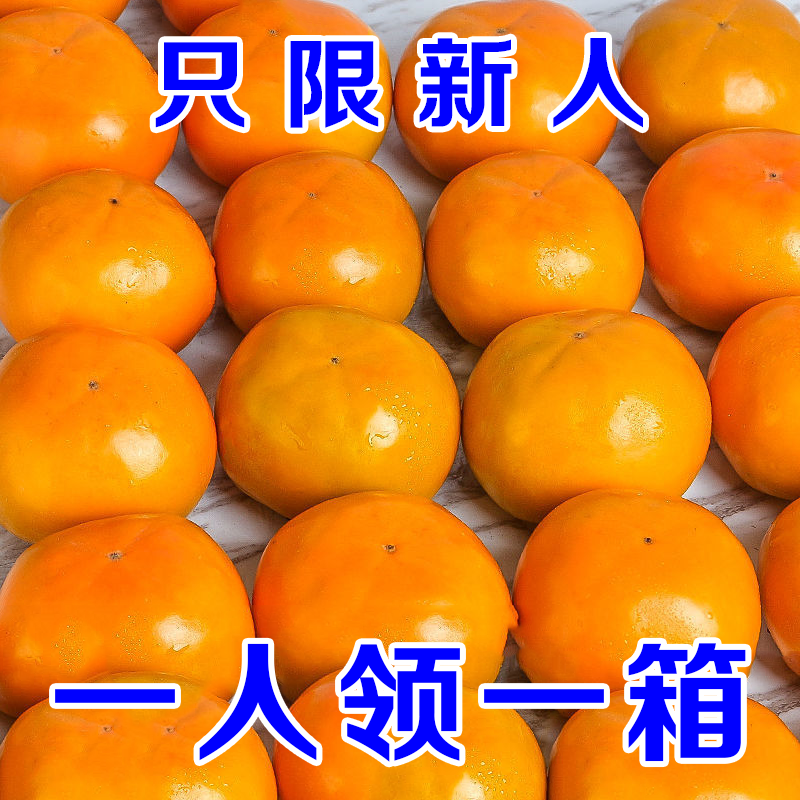 【抢购中】脆柿子3-9斤巧克力脆柿子当季水果甜脆柿黄柿子阳丰柿子