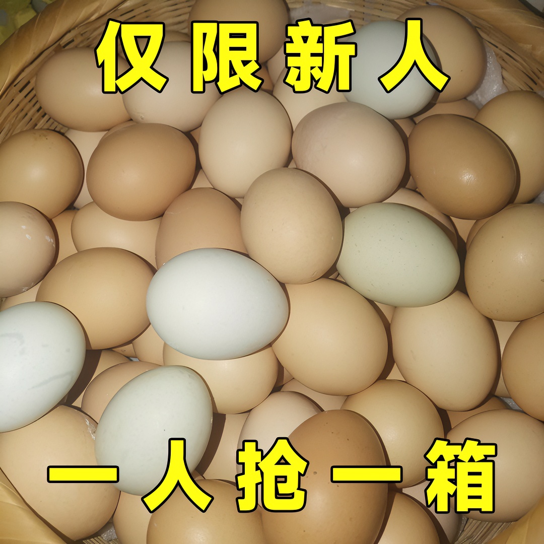 【新人福利】10枚土鸡蛋农家散养新鲜笨鸡蛋整箱批发农村草鸡土鸡蛋