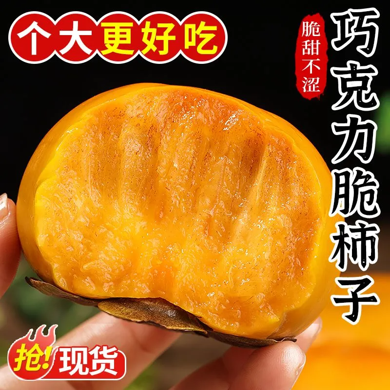 【邮政助农】巧克力脆柿子广西3-9斤脆甜当季水果陕西阳丰硬柿平替