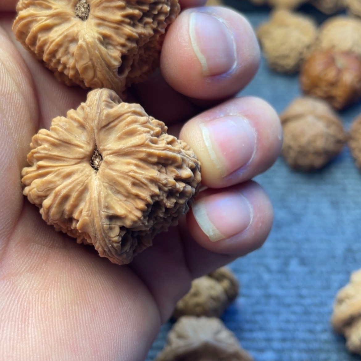 【闪购商品】文玩核桃吊坠