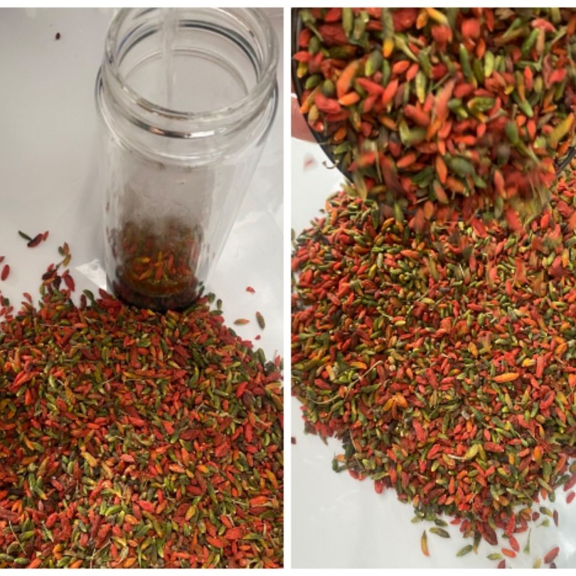 长白山土特产，一物一拍以实物为准，50g改价链接