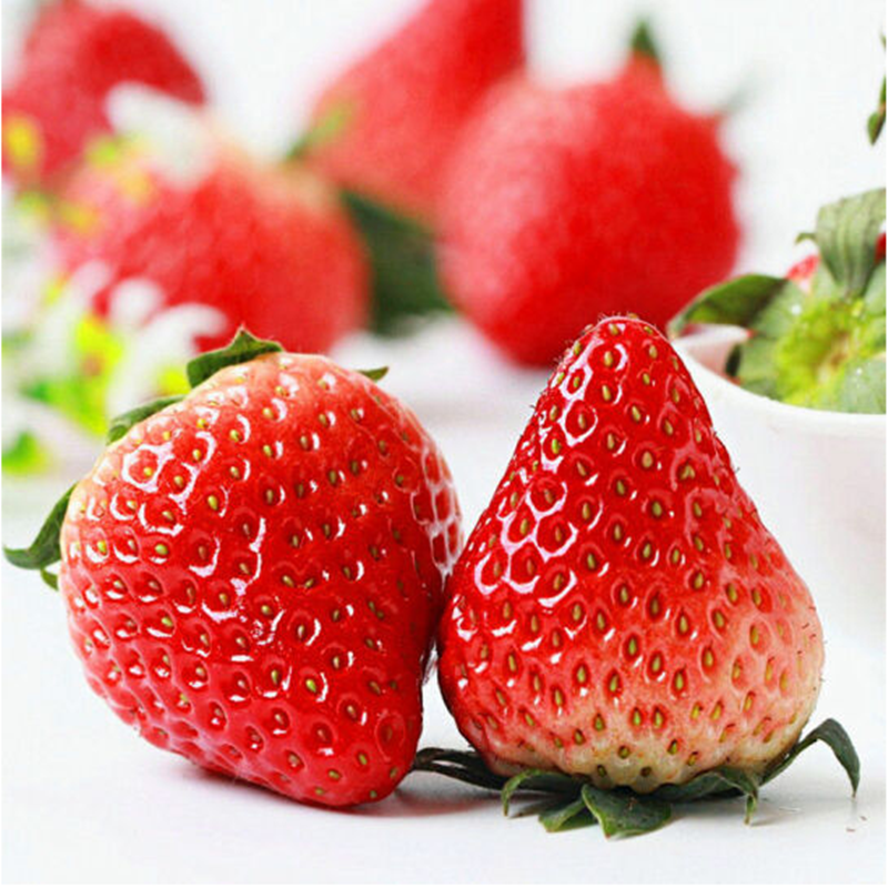 下沙奶油草莓400g/盒（大果）