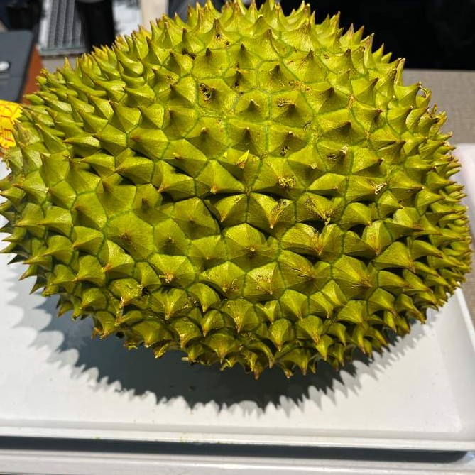 越南金腰榴莲一物一拍【默认开果，不开不售后】