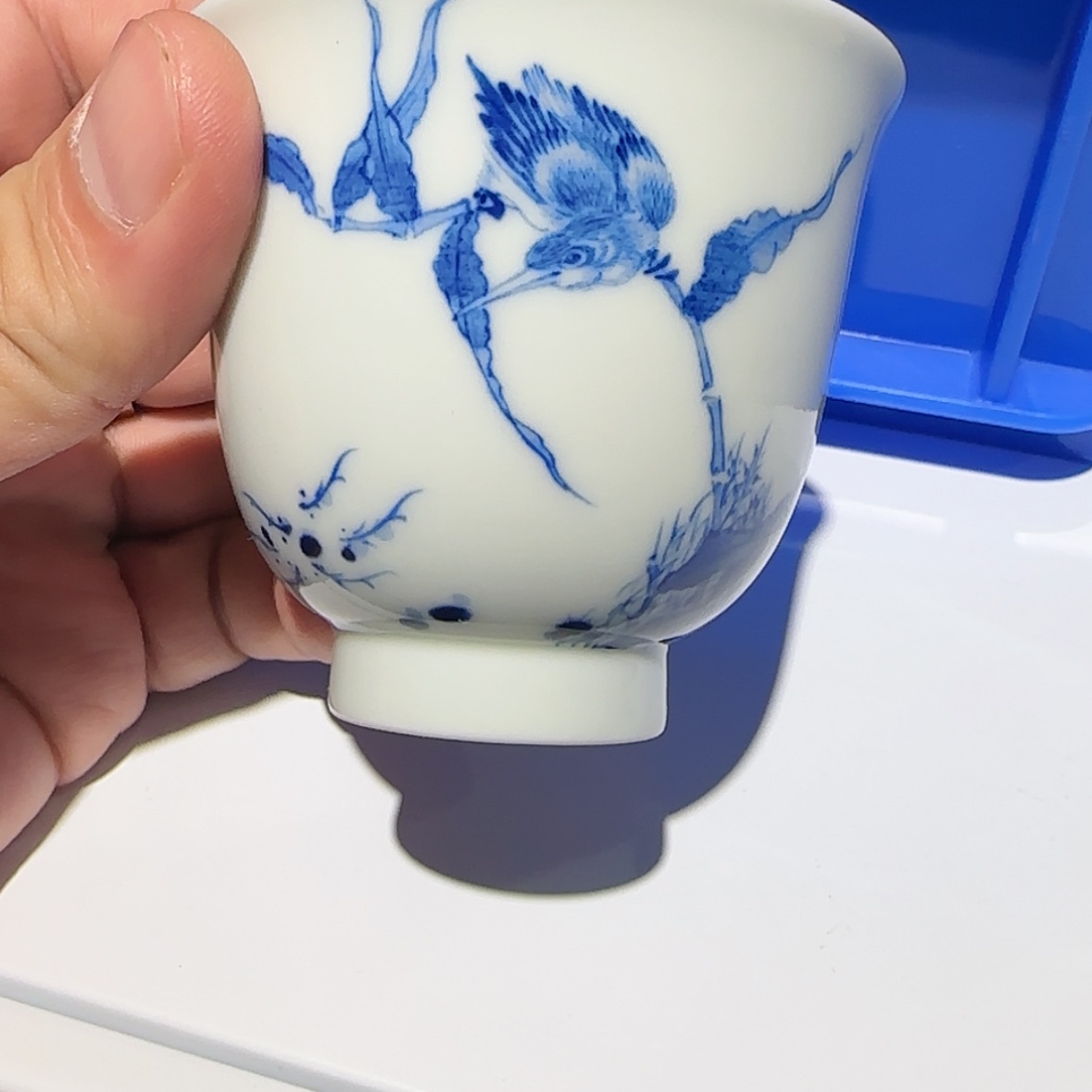 【闪购商品】陶瓷福利